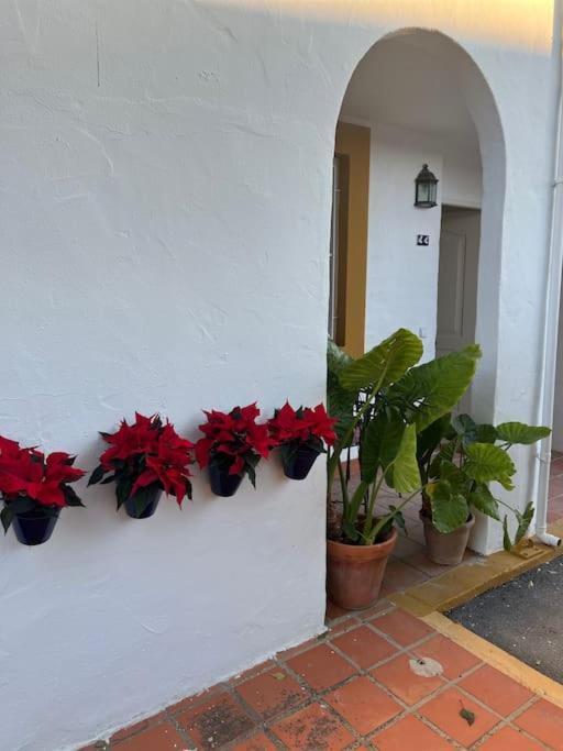 Apartamento A 8Km Sevilla Centro Valencina de la Concepción Exterior foto
